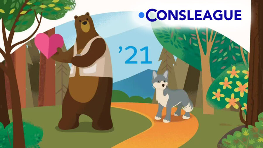 cartoon image of bear and wolf in a forest, with Consleague logo and the text '21'