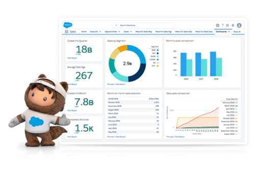 screenshot of salesforce CRM